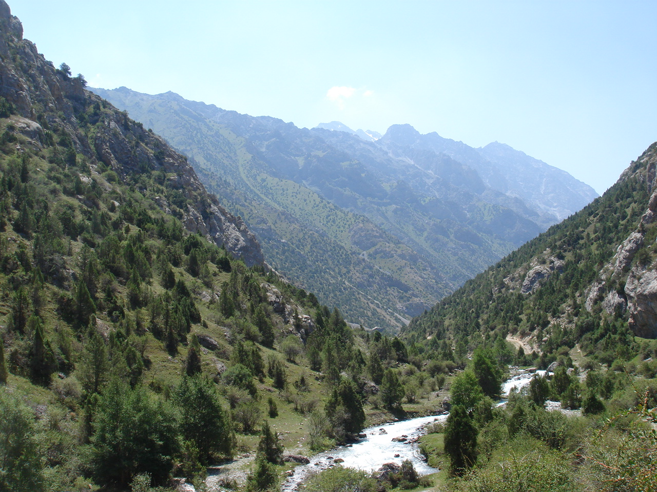 Галлуянское ущелье (Алай, Южная Киргизия)