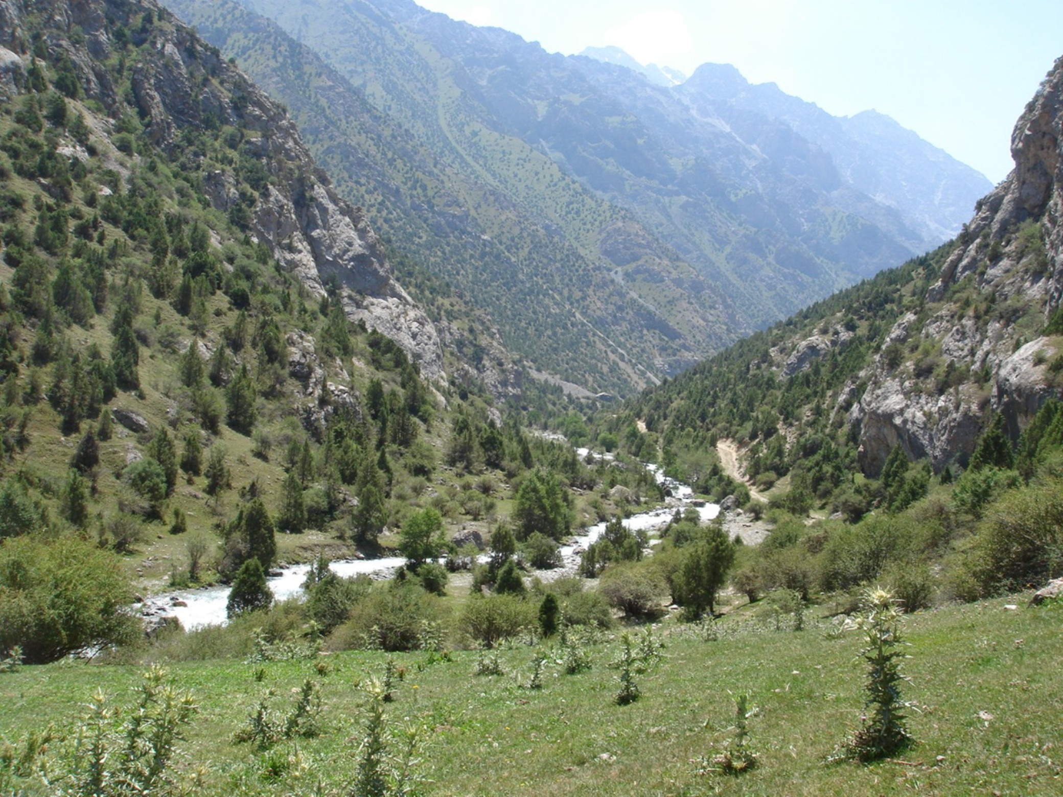 Ущелье Гавиан, Хайдаркан, Киргизия