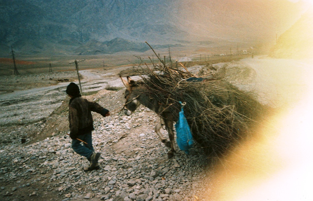 Киргизский дровосек, 2007 год