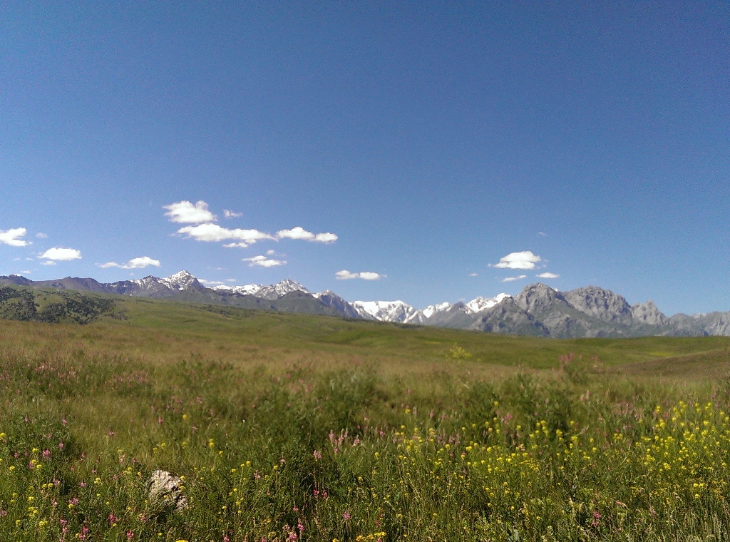 Памиро-Алай, Киргизия, 2014 год
