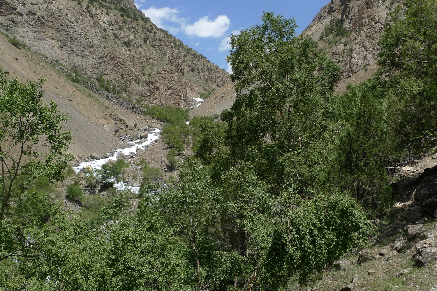 Ущелье реки Гаумыш. Алай, Киргизия.