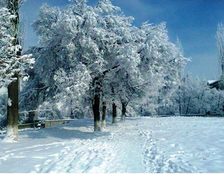 Зимние деревья Хайдаркана, Киргизия